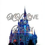 Irish Vixen Publishing Theme Park Travel Guide Kindle-0