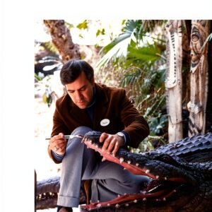 Theme Park Press Travel Guide Kindle Book English Language-0