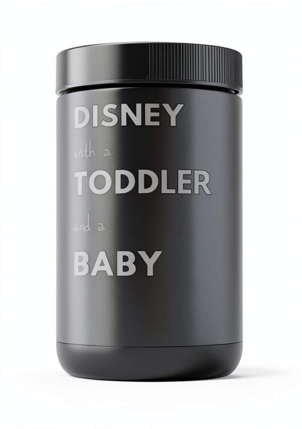 Kindle eBook Family Travel Guide Amusement Park Adventures-0