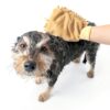 Ethical Products Pet Paw Mitt Absorbent Quick Drying-12